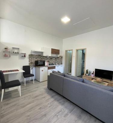 Kikinda Apartamento | Apartman Arthur