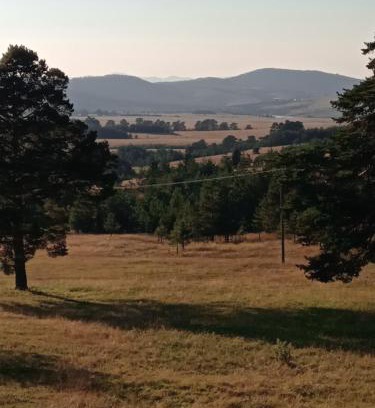 Zlatibor Apartamento | Apartman ISPOD DUGE LANA