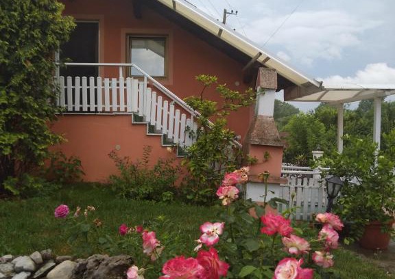Central Serbia Apartamento | Apartman-Jovic