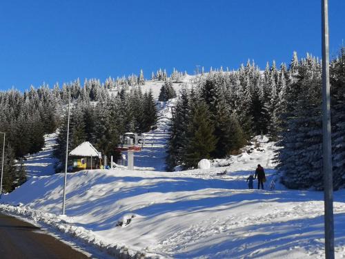 Kopaonik Apartamento | Apartman Kalina Suncani Breg