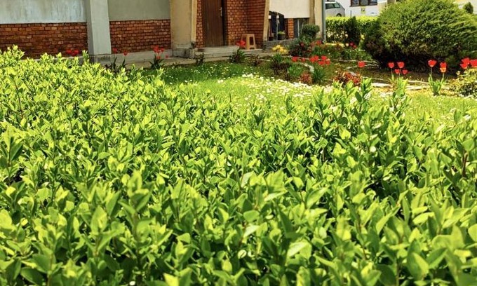 Mladenovac Apartamento | Apartman Mali Raj Rudnik II