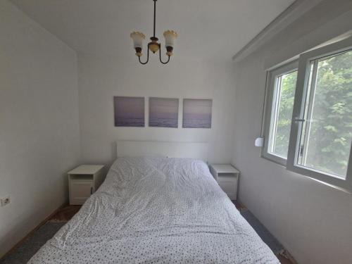 Donji Milanovac Apartamento | Apartman Mamut