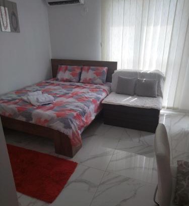 Veliko Gradiste Apartamento | Apartman Markovic Silver Lake