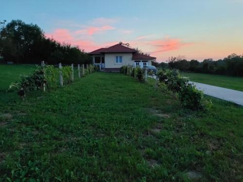Central Serbia Apartamento | Apartman Milenkovic