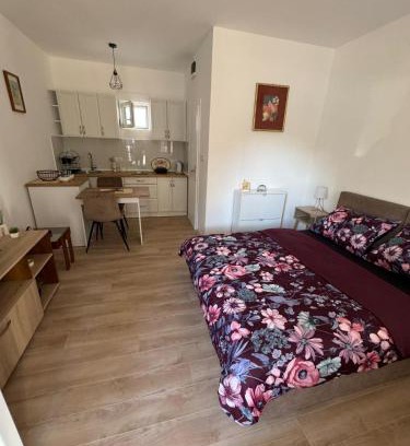 Banja Koviljaca Apartamento | Apartman Milinkovic