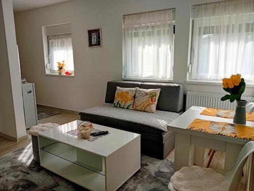 Tuzla Canton Apartamento | Apartman Nera