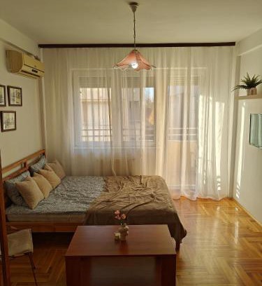 Pozarevac Apartamento | Apartman Nest
