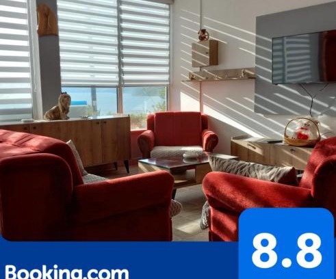 Donji Milanovac Apartamento | Apartman SANI