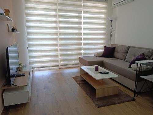 Veliko Gradiste Apartamento | Apartman Sara S