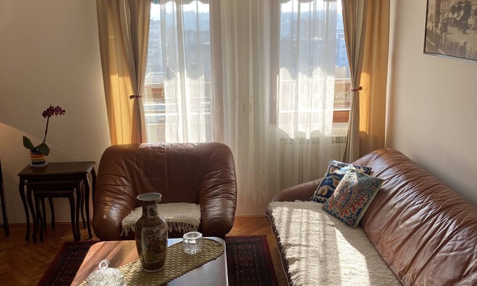 Vracar Condominio | Apartman se nalazi u blizini Hrama Svetog Save. Trga Slavija . .