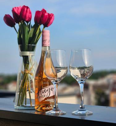 Sremska Mitrovica Apartamento | Apartman Sky