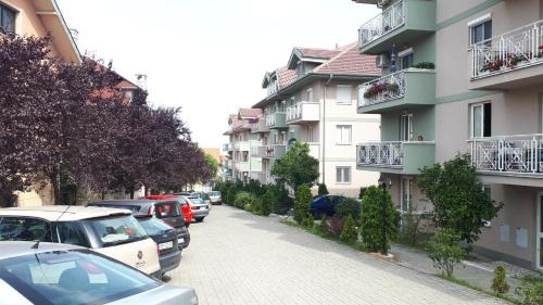 Vrnjacka Banja Apartamento | Apartman SN