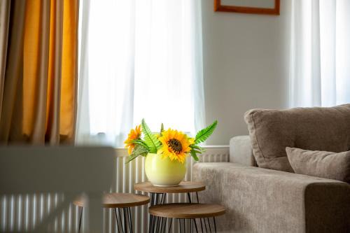 Sabac Apartamento | Apartman Suncokret Šabac