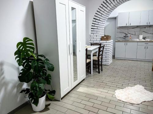 Bela Crkva Apartamento | Apartman Vanila