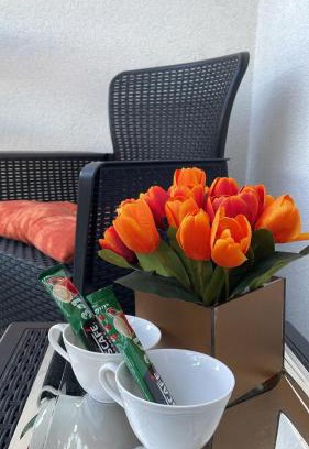 Sombor Apartamento | Apartman Venera
