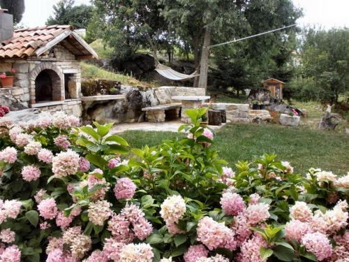 Gracisce Apartamento | apartman Vojskovic