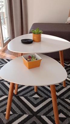 Vrnjacka Banja Apartamento | Apartman Vule