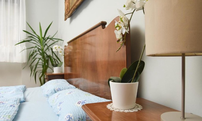 Senta Apartamento | Apartman Woolf
