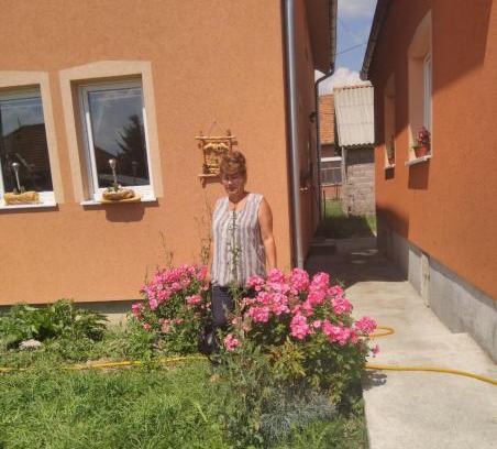 Sjenica Apartamento | Apartmani ,Bato,