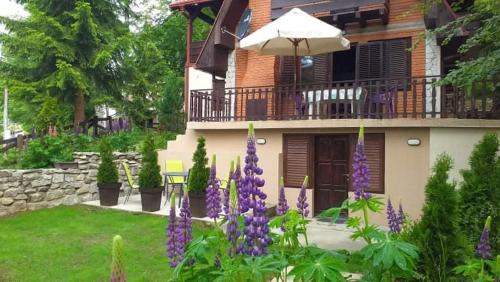 Central Serbia Apartamento | Apartmani Damjan Vlasinsko jezero