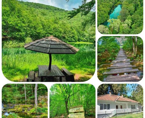 Central Serbia Apartamento | Apartmani Grza
