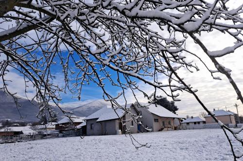 Nisava District Apartamento | Apartmani Petrović SEMČE Suva Planina