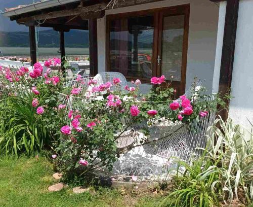 Veliko Gradiste Apartamento | Apartmani sa pogledom na Dunav - Akademik