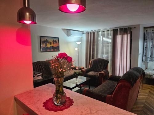 Bezdan Apartamento | Apartmani, sobe Žiža
