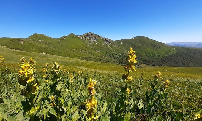 Chastreix Sancy Apartamento | Apartment 6 people station Chastreix Sancy alt 1385m