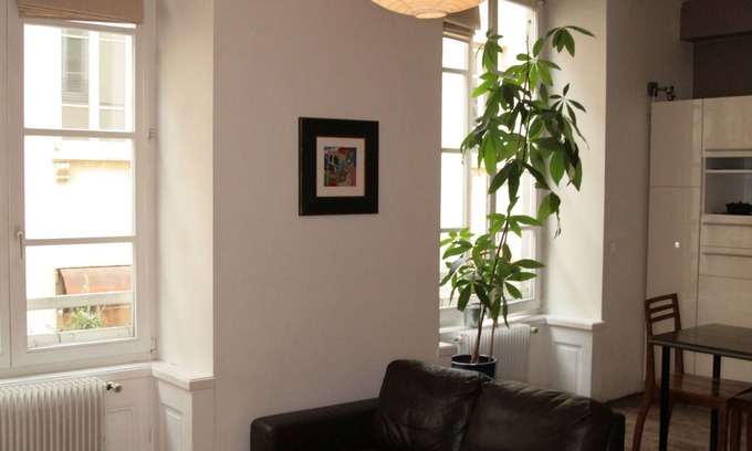 Griffon - Royale Apartamento | Apartment 60m2 1 Bedroom and double living room - Lyon 1er proche Hotel-de-Ville