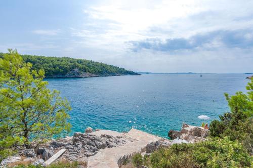 Cove Osibova (Milna) Apartamento | Apartment Ametist
