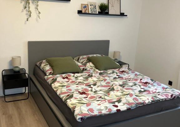 Inzigkofen Apartamento | Apartment Anna