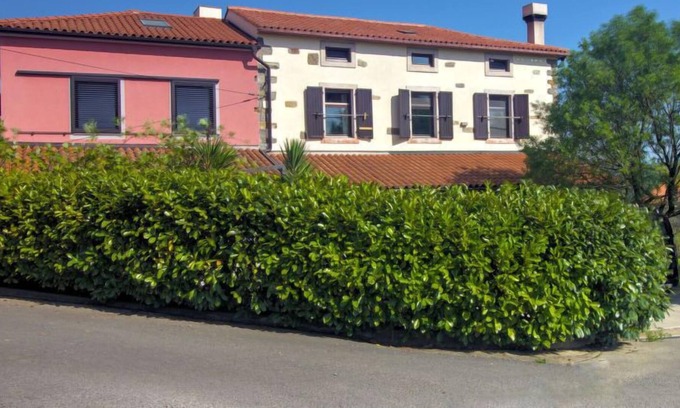 Truske Apartamento | Apartamento Apartment Himalaja en Marezige - 4 personas, 1 dormitorios
