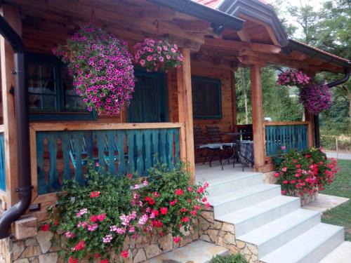 Mokra Gora Apartamento | Apartment Bajka