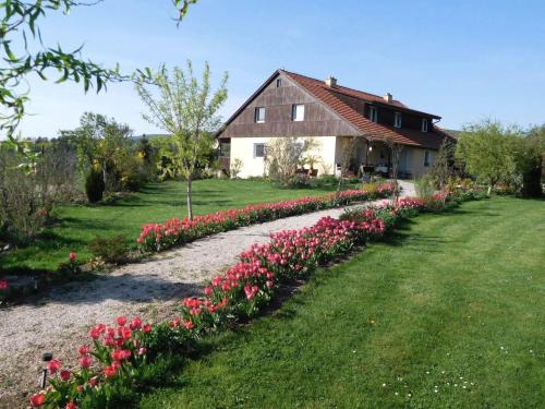 Srbsko Apartamento | Apartment Boroví