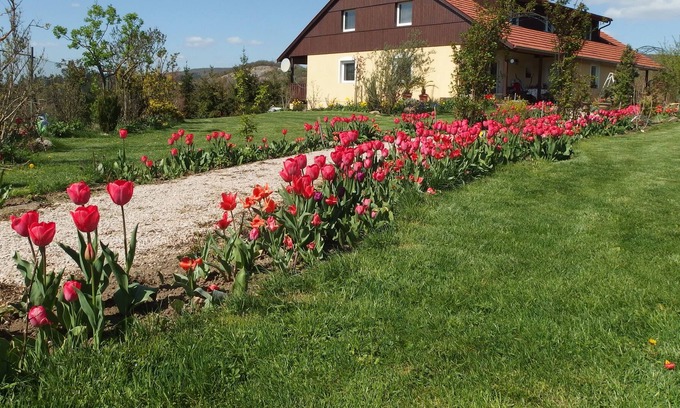 Srbsko Apartamento | Apartment Boroví