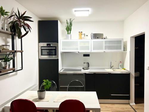 Brno Apartamento | Apartment Brno- BBQ terrace