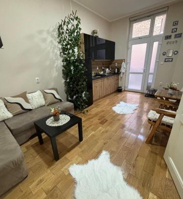 Terazije Apartamento | Apartment Dana
