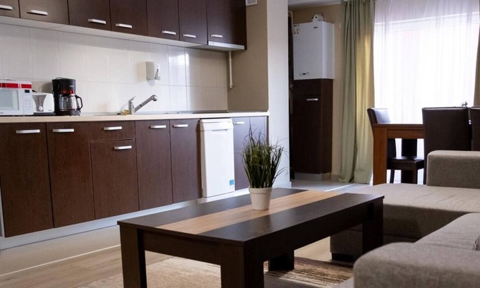Baia Mare Apartamento | Apartment Family Rivulus