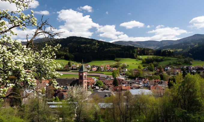 Elzach Apartamento | Apartamento 'Fewo Blumenweg' con terraza privada y Wi-Fi