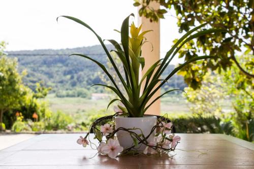 Supetarska Draga Apartamento | Apartment Gulić