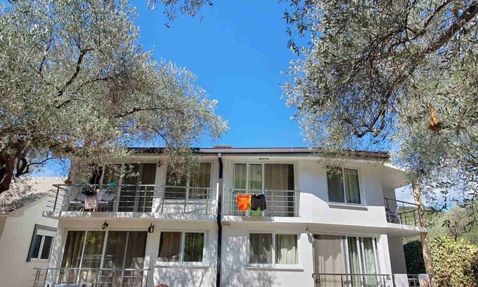 Utjeha Casa | Apartment Home Under The Olive Trees