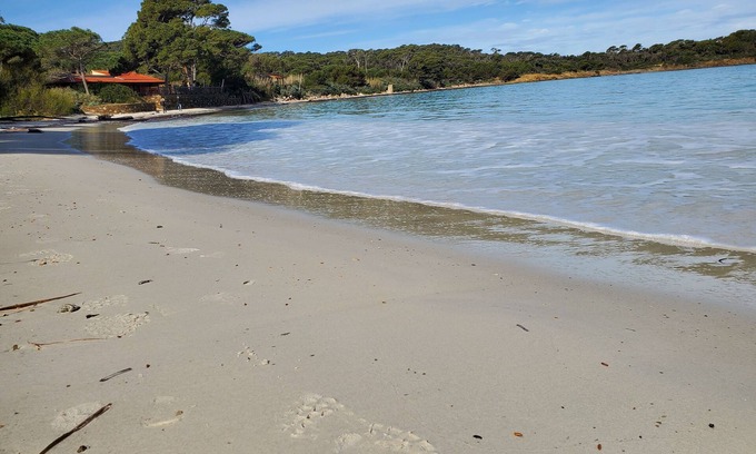 Porquerolles Apartamento | Apartment - ILE DE PORQUEROLLES