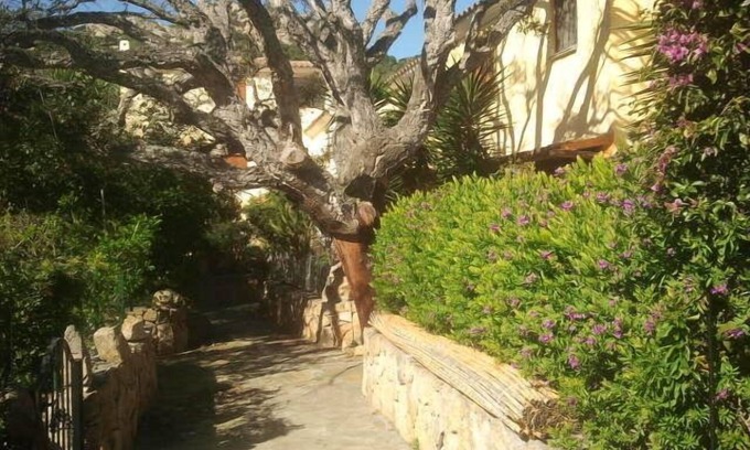 Vaccileddi Apartamento | Relájese en el hermoso mar y Cerdeña