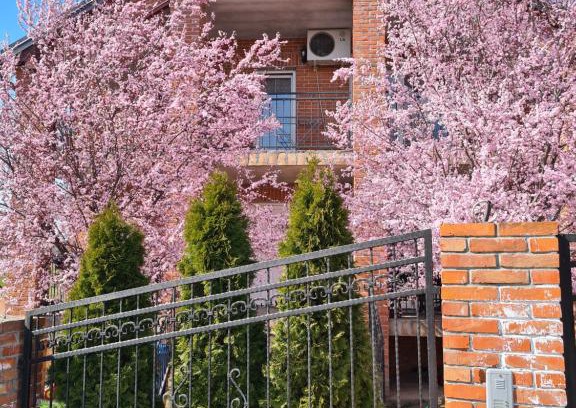 Surcin Apartamento | Apartment Ken