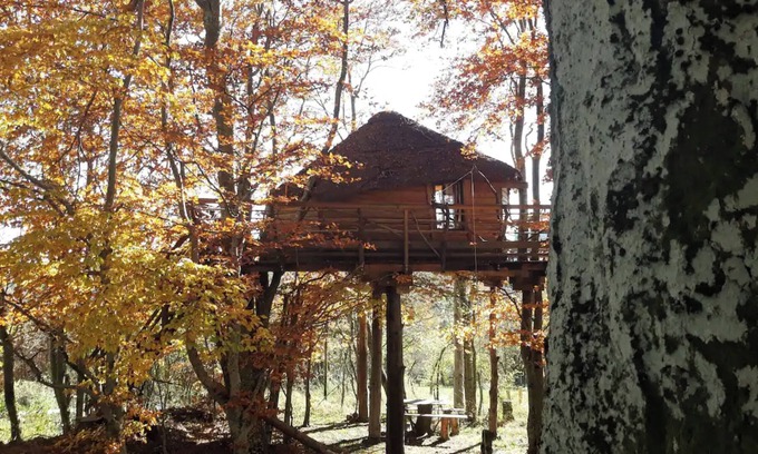 Saint-Agreve Apartamento | Apartment 'La Cabane Des Fayards' with Mountain View, Private Terrace and Shared Garden
