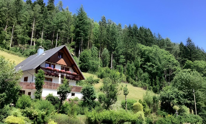 Hornberg Apartamento | Apartment 'Living in the Green' with Mountain View, Balcony and Wi-Fi