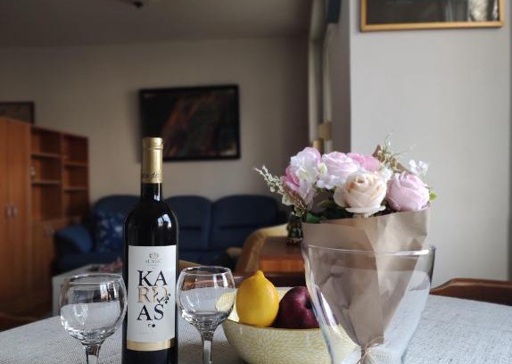Dorcol Apartamento | Apartment Melano