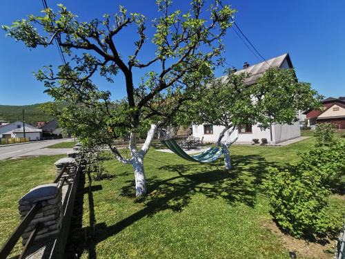 Korenica Apartamento | Apartment Milka