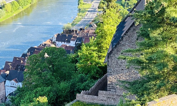 Hirschhorn Apartamento | Apartment no.3 climatic health resort, pearl of the Neckar valley